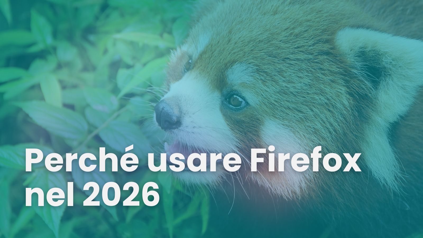 : Logo di Mozilla Firefox contrapposto ai browser basati su Chromium per rappresentare l'indipendenza del web e la tutela della privacy